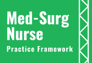 med surg practice framework